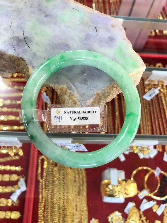 Translucent Natural Green, White Jadeite Jade Vin… - image 8