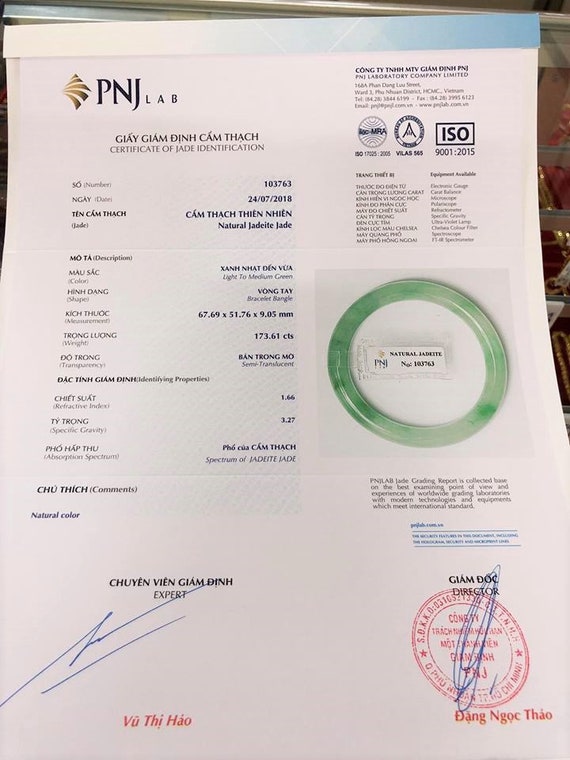 Translucent Natural Green, White Jadeite Jade Vin… - image 6