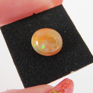 Puede incluir: Una piedra preciosa de ópalo redonda, de color naranja, con un brillo iridiscente verde y blanco, expuesta sobre un fondo de terciopelo negro.