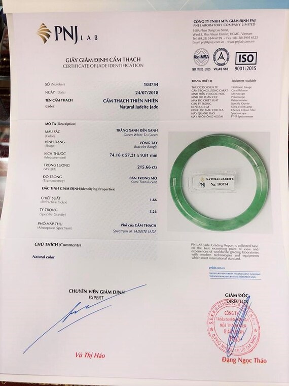 Translucent Natural Green, White Jadeite Jade Vin… - image 10