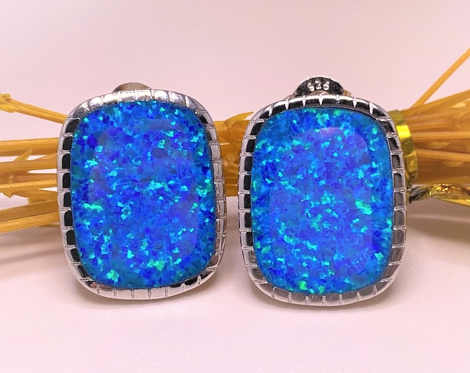 Vintage Sterling Silver Blue Opal Earrings.