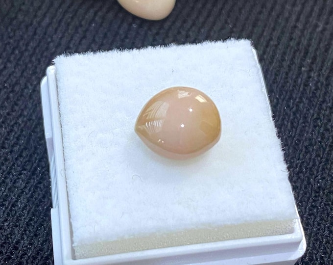 Vintage 3.5ct Natural Pink, Yellow, Brown Saltwater Conch Pearl. Make for Ring, Pendant.