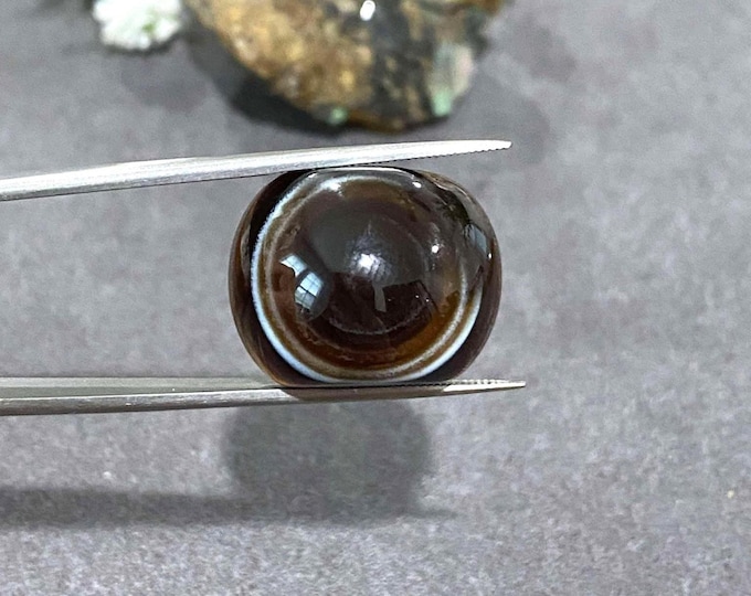 Vintage Tibetan Luk Mik Eye Dzi Bead Brown, White Agate. Make for Charm