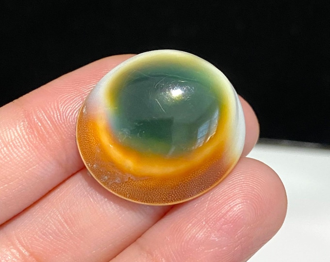 Vintage Green, White, Orange Operculum Shell Eye Make for Pendant.