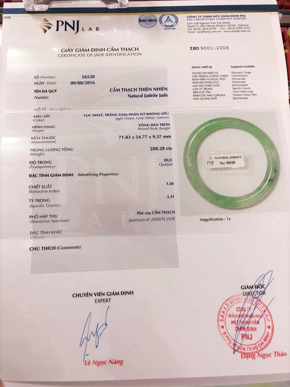 Translucent Natural Green, White Jadeite Jade Vin… - image 9