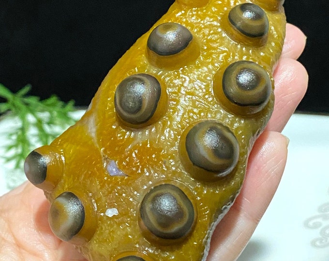 Vintage Natural Gobi Agate stone Yellow, brown Eye.