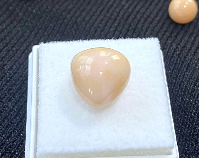 Vintage 9.0ct Natural Pink Yellow Saltwater Conch Pearl. Make for Ring, Pendant.