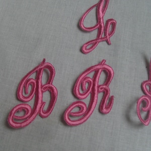 5 letras de 3 cm bordadas en rosa, blanco, dorado, Diana u otro