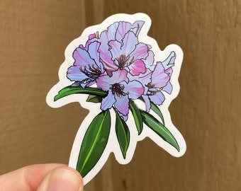 Coast Rhododendron Sticker: Washington State Flower Waterproof Decal