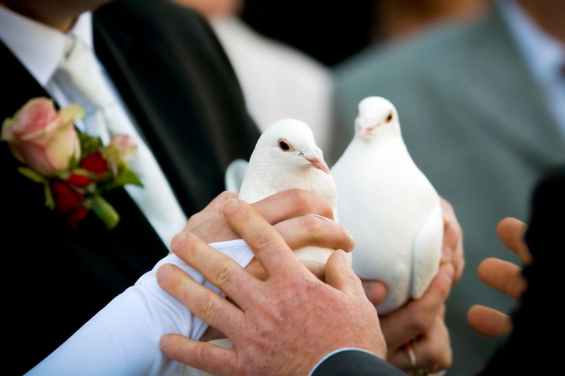 Boutonniere Corsage Magnets image 6