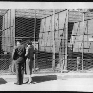 Vintage Photo Soldier on Leave with His Girl Visiting the Zoo 1950&#39;s, Original Found Photo, Vernacular Photograph