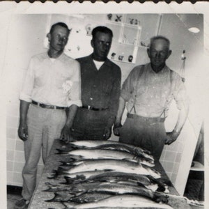 Puede incluir: Tres hombres están de pie frente a una mesa con una gran captura de pescado. Los peces están dispuestos sobre la mesa, y los hombres sonríen. La mesa está cubierta con un mantel blanco, y los peces están dispuestos en una fila. Los hombres visten ropa informal, y los peces son de diferentes tamaños.
