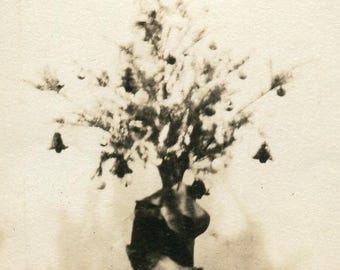 May include: A vintage black and white photograph of a small Christmas tree. The tree is decorated with small ornaments and bell-shaped decorations. It is placed on a dark, cylindrical base, possibly a stand or a container.