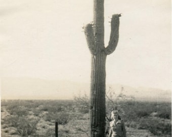 Mid‑Century Travel Snapshot – Huge Saguaro Cactus – Arizona Desert