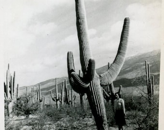 Istantanea vintage nel deserto: donna accanto a un gigantesco cactus saguaro - Foto del sud-ovest americano di metà secolo