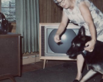 Vintagefoto av kvinna som försöker få hund att posera för bild, 1960-talet, originalfoto, folkligt fotografi