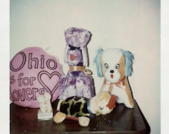 Collezione di foto d'epoca di animali di peluche su uno scaffale anni '70, foto originale trovata, fotografia vernacolare