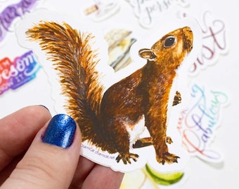 Squirrel Sticker 3-Inch Eco Friendly Sticker - Laptop, Journal, or Bottle Decal for Squirrel Lovers - 3 Inch Decal