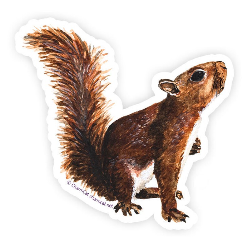 Squirrel Sticker 3-Inch Laptop Journal or Bottle Decal for | Etsy