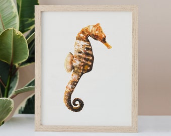 Stampa acquerello cavalluccio marino - Arte animale - Pittura ad acquerello