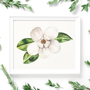 Magnolia Bloom Classic Watercolor Art Print - White Floral Home Decor