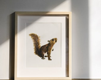 Squirrel Watercolor Print - Animal Art - Watercolor Painting