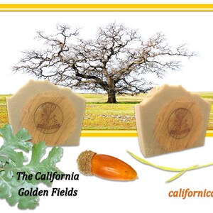 May include: Two bars of natural soap with a wooden base. The soap is light brown and has a natural, earthy scent. The soap is labeled "californica". The image also includes a green oak leaf, an acorn, and a picture of a bare oak tree in a field.