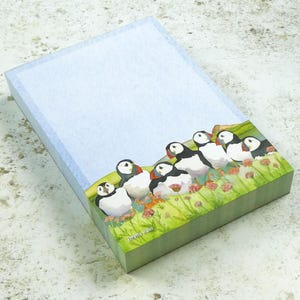 Può includere: Un blocco note rettangolare con una sezione superiore azzurra e un'illustrazione in basso di sei pulcinella di mare in un campo d'erba verde con piccoli fiori rosa. Il testo Emma Ballo è stampato in basso in lettere bianche.