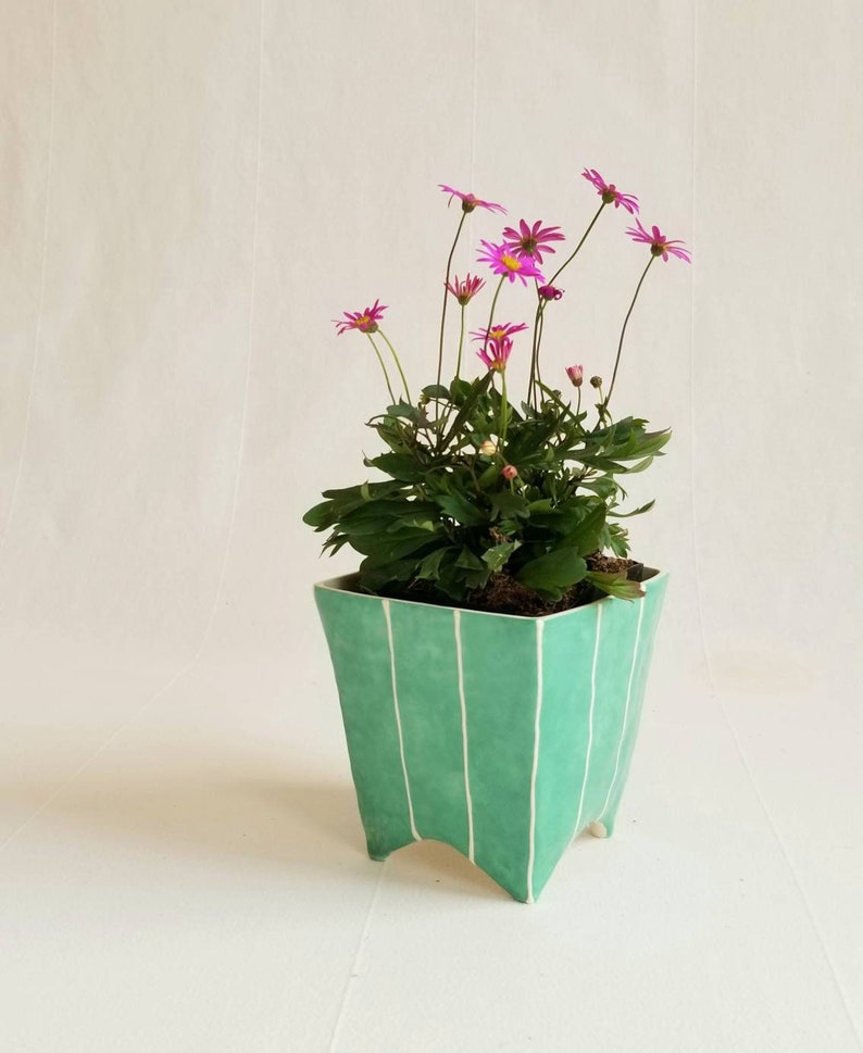 Small square ceramic planter with 4 pointed feet. Shown in jade green, potted with plant