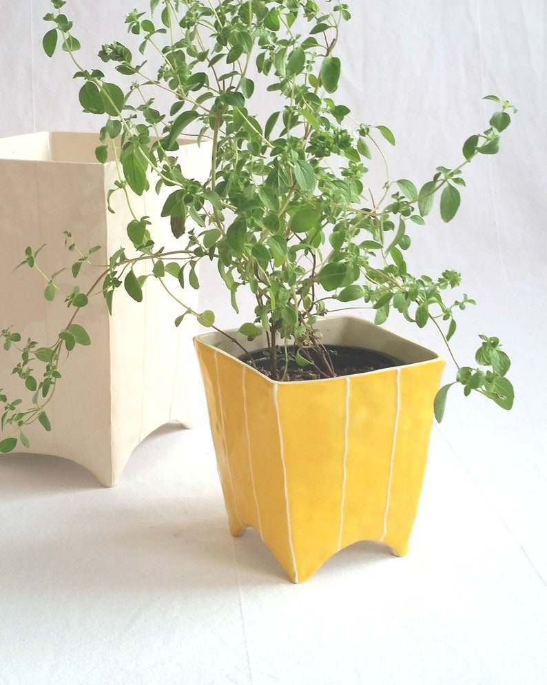 Indoor ceramic plant pot for succulent or cactus. Herb planter Yellow