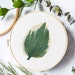 see more listings in the Cross Stitch - Plants section