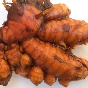 May include: A raw turmeric rhizome with a knobby, segmented structure and a brownish-orange skin. The surface features visible ridges, small fibrous root protrusions, and a textured, earthy appearance characteristic of fresh ginger-like roots.