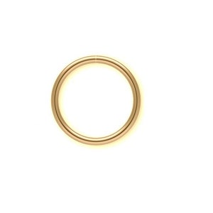 18g 7mm 14k Gold Filled Seamless Nose or Ear Hoop (only 1 available)