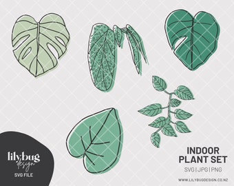 Monstera Begonia Indoor Pot Plants - SVG JPG PNG Files