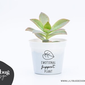 May include: A white pot with a succulent plant growing in it. The pot has a black and white sticker that says "Emotional Support Plant" with a leaf design.