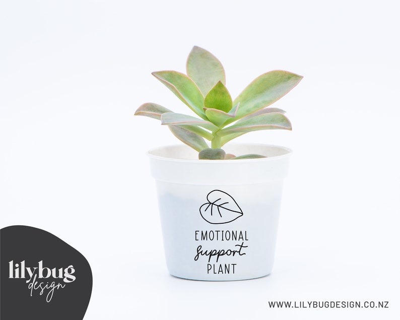 May include: A white pot with a succulent plant growing in it. The pot has a black and white sticker that says "Emotional Support Plant" with a leaf design.