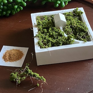 May include: A miniature zen garden with a white square container filled with green moss and a small white house. A small pile of brown sand sits on a white card, with a sprig of moss nearby. The items are on a dark brown wooden surface.