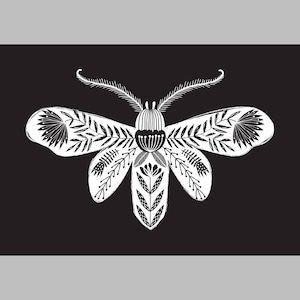 A5 art print, moth butterfly illustration