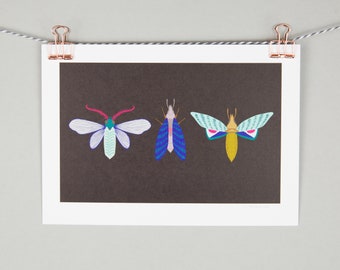 A5 moth print, moth and butterfly illustration