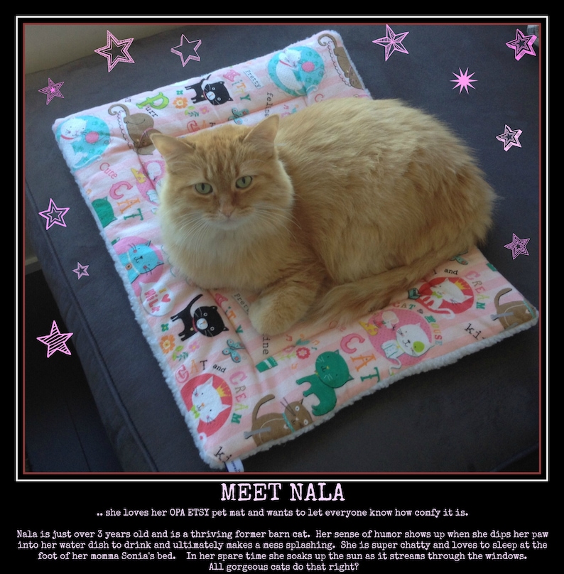 dog training mat dog Mat cat gift PINK MINKY dog cat bed dog lovers gift cat lovers gift dog gift Dog Crate Bed puppy pad cat bed