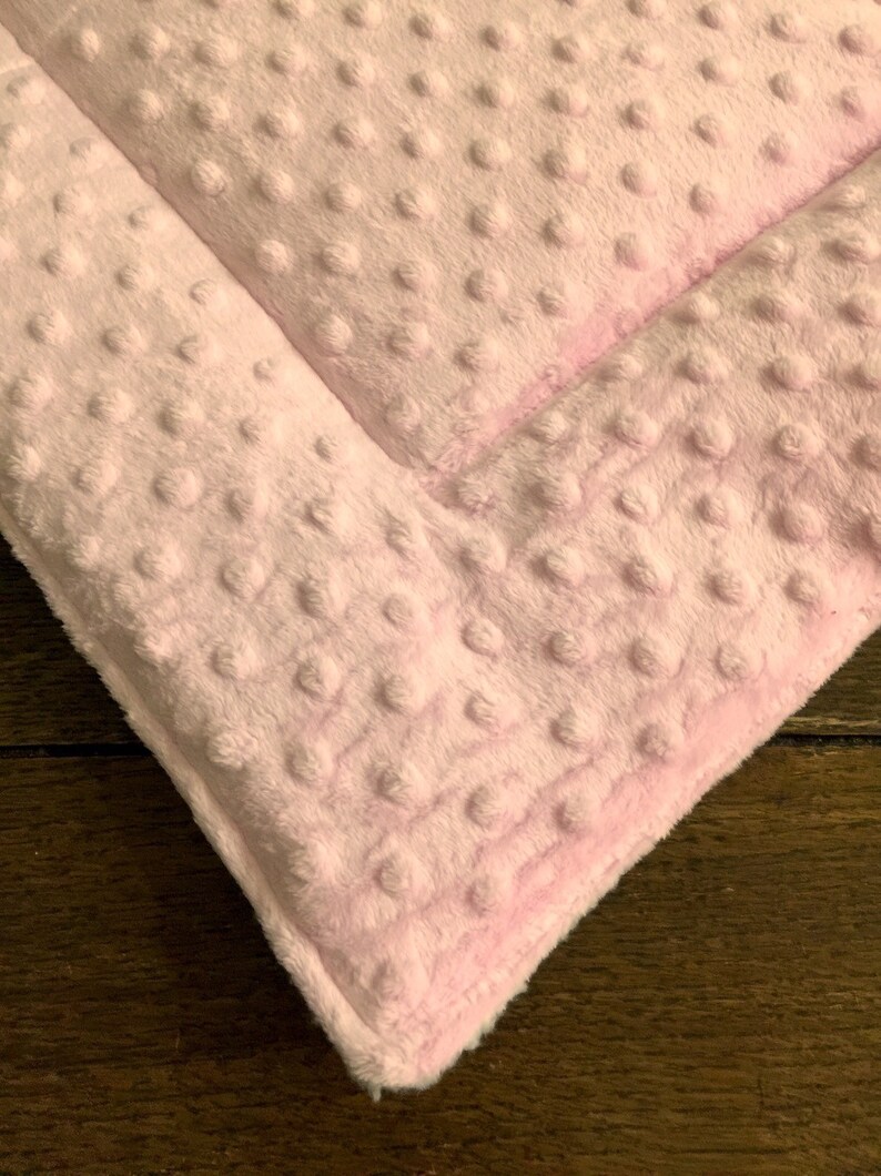dog training mat dog Mat cat gift PINK MINKY dog cat bed dog lovers gift cat lovers gift dog gift Dog Crate Bed puppy pad cat bed