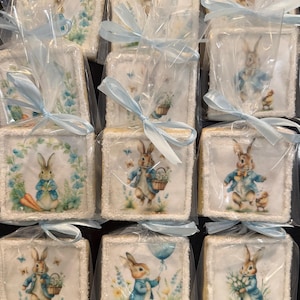 May include: Square cookies with Easter bunny illustrations, individually wrapped in clear cellophane and tied with light blue ribbons. The cookies feature various bunny designs with floral and garden elements.