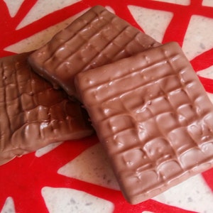 6 Chocolate Covered Graham Crackers