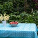 see more listings in the Tablecloths & Napkins section