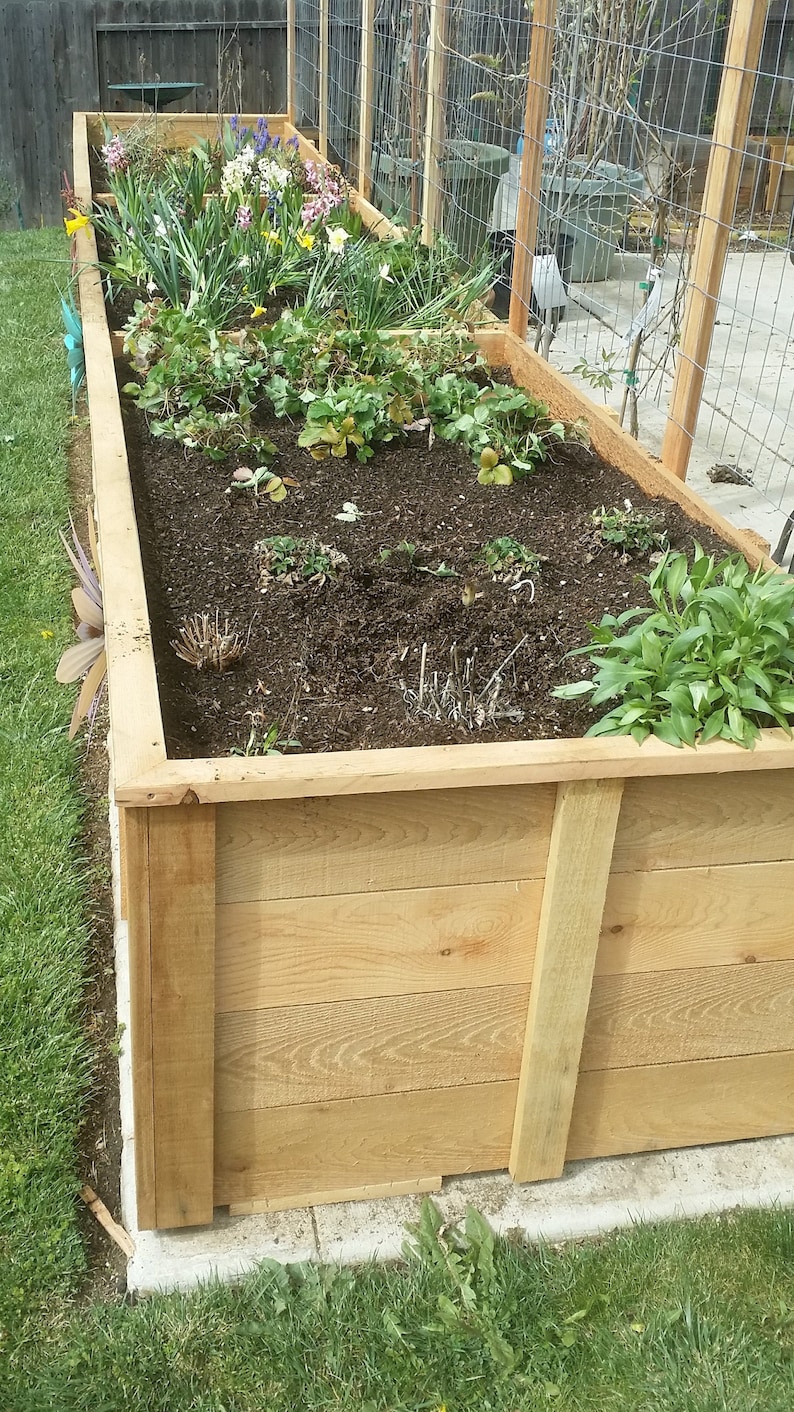 18 Foot Long Cedar Raised Garden Bed With Trellis Step by Step Etsy
