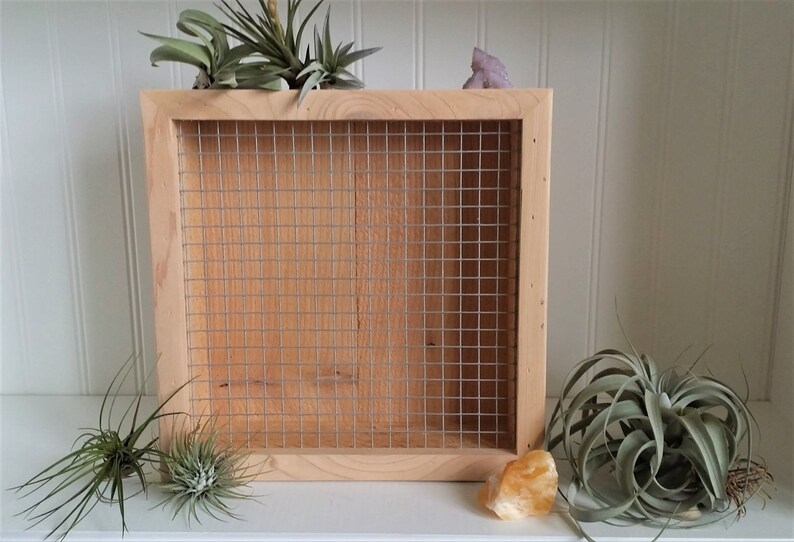 Cedar Living Wall Picture Frame Planter 11 Or 17 Image 0