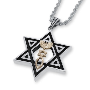 Sterling Silver Star of David with 14K Gold Grafted-In Messianic Seal Charm,Menorah Jewish Star Sacred Fish Pendant Israeli Judaica Necklace