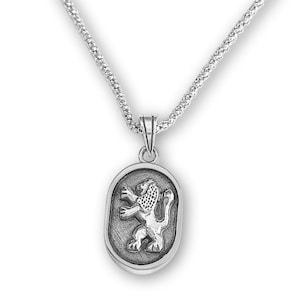 Sterling Silver Nano Bible Charm,Jerusalem Stone Lion of Judah Pendant,Tanakh Hebrew Necklace,World&#39;s Smallest Bible Jewelry,Israel Jewelry