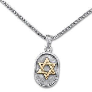 Sterling Silver and Yellow Gold Nano Bible Charm,Jerusalem Stone Star of David Pendant,Tanakh Hebrew Necklace,World&#39;s Smallest Bible Jewelry