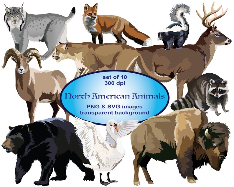 Download Wild Animals Clip Art SVG Clipart Animals Clip Art Alaska | Etsy
